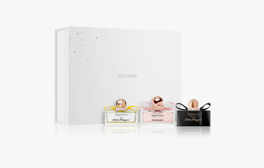Discovery Box Exclusive Notino The Ferragamo Edit