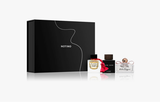 Discovery Box Exclusive Notino Essence Noire